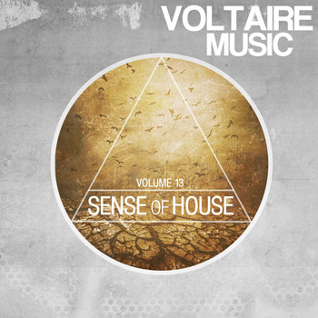 Various Artists - Sense Of House, Vol. 13