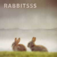 Rabbitsss - Penguins
