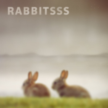 Rabbitsss - Penguins