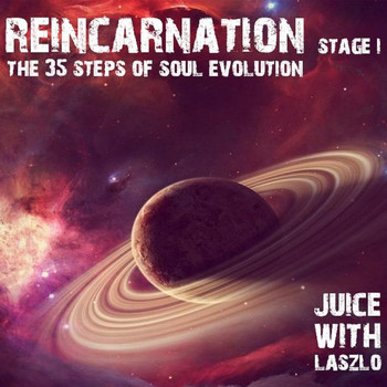 Stereo Juice - Reincarnation. The 35 Steps of Soul Evolution