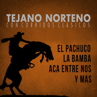 Varios Artistas - Tejano Norteno, Con Corridos Clasicos el Pachuco, La Bamba, Aca Entre Nos y Mas