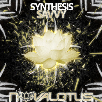 Synthesis - Savvy