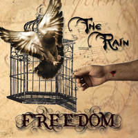 The Rain - Freedom