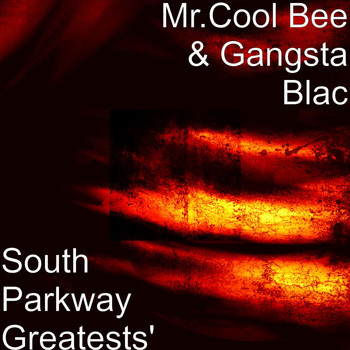 Mr.Cool Bee - South Parkway Greatests