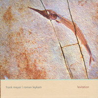 Frank Meyer & Roman Leykam - Levitation
