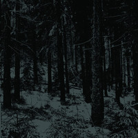 Moloch - Abstrakter Wald
