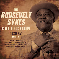 Roosevelt Sykes - The Roosevelt Sykes Collection 1929-47, Vol. 1