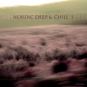 Various Artists - Nordic Deep & Chill 1