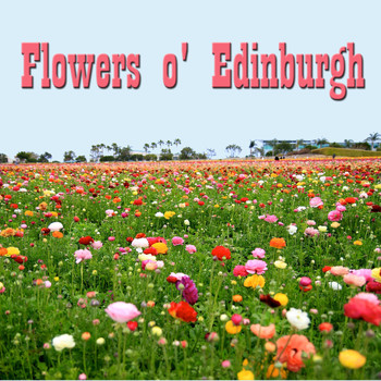 Various Artists - Flowers o' Edinburgh