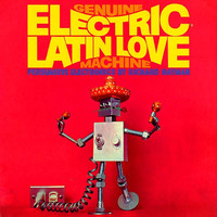 Richard Hayman - Genuine Electric Latin Love Machine