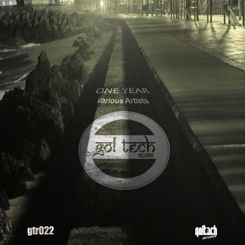 Various Artists - One Year