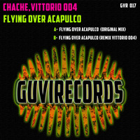 Chache - Flying Over Acapulco