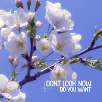 Dont Look Now - Do You Want