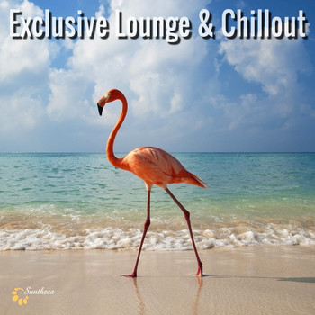 Various Artists - Exclusive Lounge & Chillout
