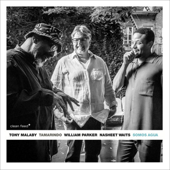 Tony Malaby's Tamarindo - Somos Agua