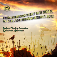 Nature Healing Acoustics Relaxation Meditation - Frühjahrskonzert Der Vögel in Der Abenddämmerung 2012