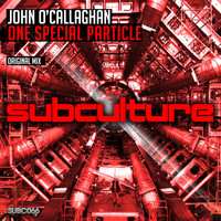 John O'Callaghan - One Special Particle