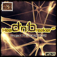 Project 71 - Head Breaker