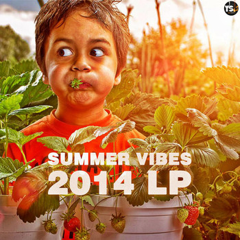 Various Artists - Summer Vibes 2014 LP
