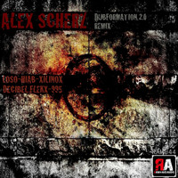 Alex Scherz - Dubformation 2.0 - The Remixes