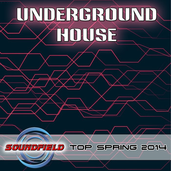 Various Artists - Underground House Top Spring 2014