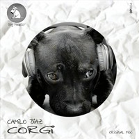 Camilo Diaz - Corgi