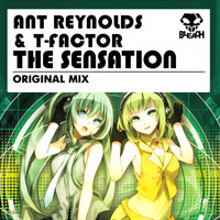 Ant Reynolds & T-Factor - The Sensation