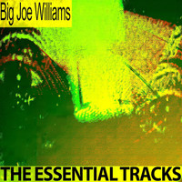 Big Joe Williams - The Essential Tracks