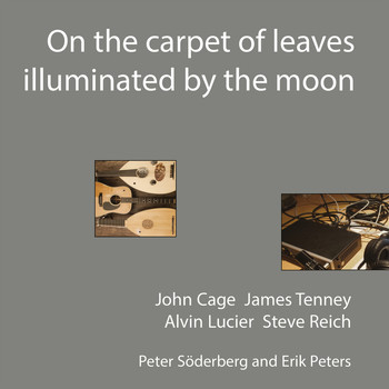 Peter Söderberg - On the Carpet of Leaves Illuminated by the Moon