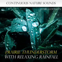 Jamie Llewellyn - Nature Sounds: Prairie Thunderstorm with Relaxing Rainfall