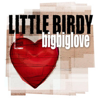 Little Birdy - BigBigLove