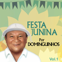 Dominguinhos - Festa Junina por Dominguinhos, Vol. 1