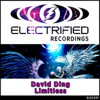 David Ding - Limitless