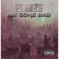 Freeze - Mr Gone Bad