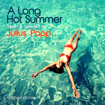 Various Artists - A Long Hot Summer: Mixed & Selected by Julius Papp