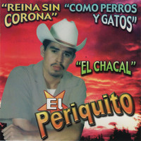 El Periquito De Sinaloa - El Chacal