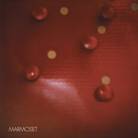 Marmoset - Record in Red