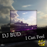 DJ Bud - I Can Feel