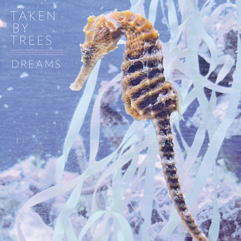 Taken By Trees - Dreams