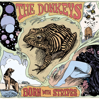 The Donkeys - Born With Stripes