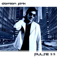 Damian Fink - Pulse 11 11