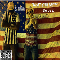 Detox - What You Say
