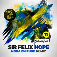 Sir Felix - Hope (Nora En Pure Remix)