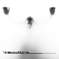 Wendico - Never Hold You