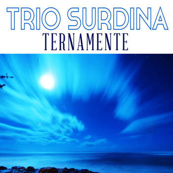Trio Surdina - Ternamente