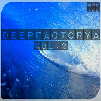 Various Artists - DeepFactorya Vol.2