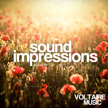 Various Artists - Sound Impressions, Vol. 14
