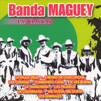 Banda Maguey - Las Clasicas Banda Maguey