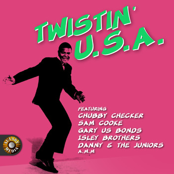 Various Artists - Twistin' U.S.A.