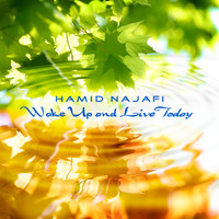 Hamid Najafi - Wake up and Live Today